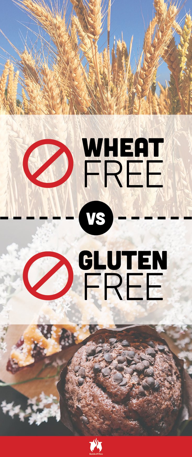 Ever confused about gluten free vs. wheat free? We've laid out the difference for you.
