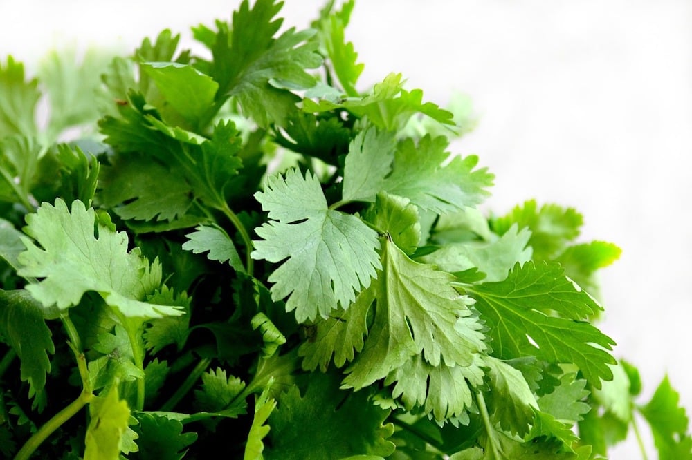 14 foods that are good for your skin - cilantro