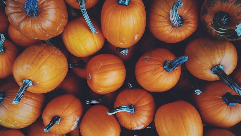 14 foods that are good for your skin - pumpkin