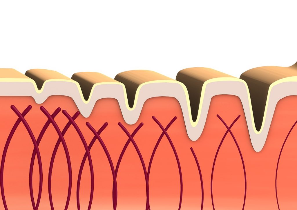 Bone Broth Skin Benefits - Skin Layers