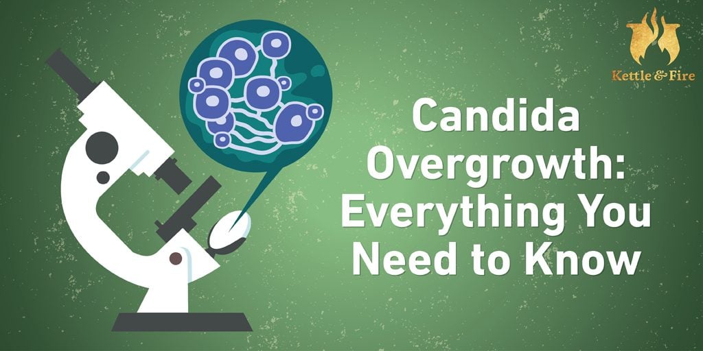 titled image: Candida Overgrowth - Everything You Need to Know