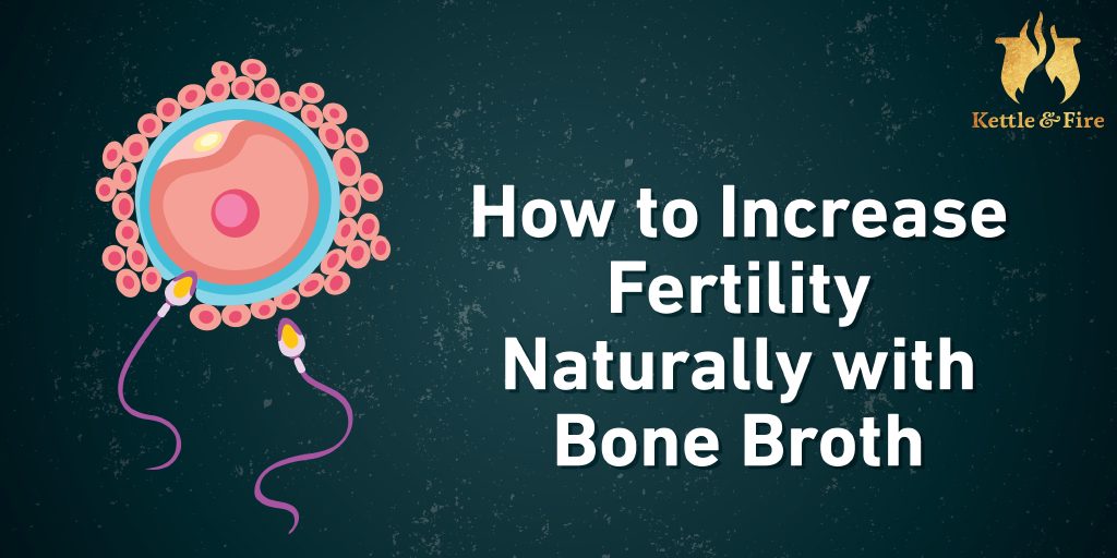 How to Increase Fertility Naturally with Bone Broth How to Increase Fertility Naturally with Bone Broth