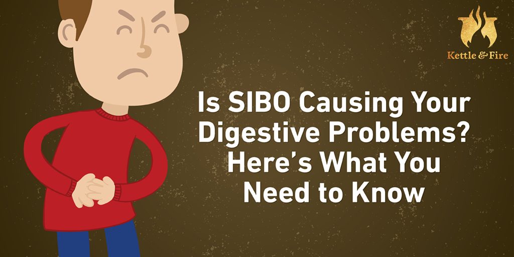 What is SIBO and Is it the Root of Your Digestive Problems? What is SIBO and Is it the Root of Your Digestive Problems?
