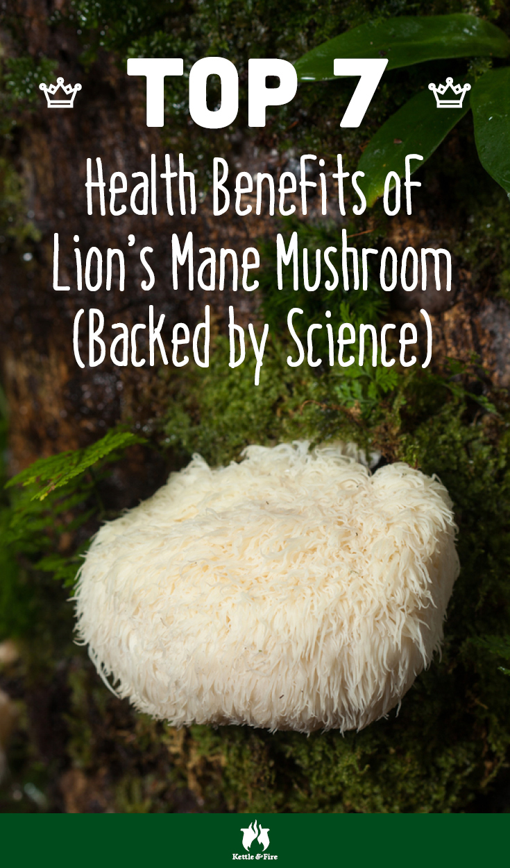 Are you familiar with a superfood called lion's mane mushroom? Learn the top 7 scientifically backed health benefits of lion's mane mushroom here.