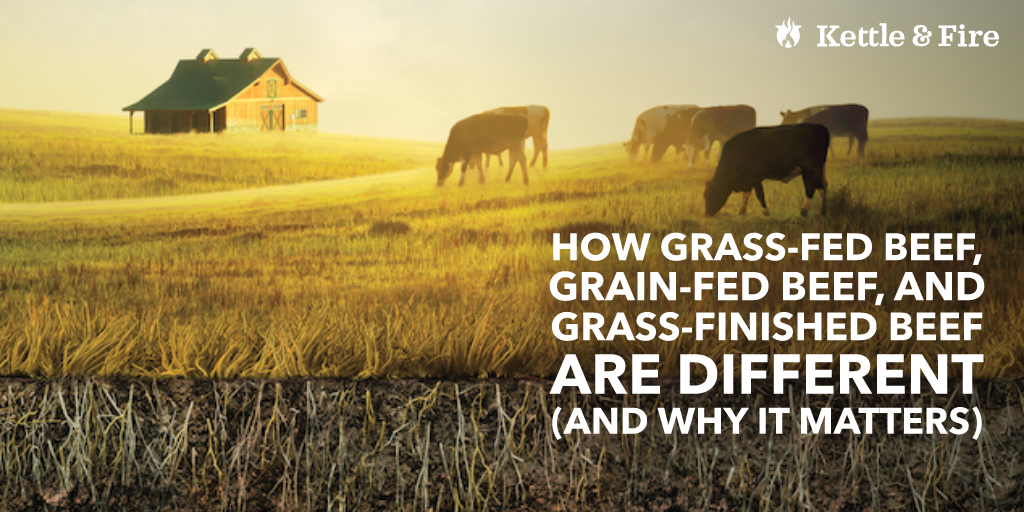 titled photo "How Grass-Fed Beef, Grain-Fed Beef, and Grass-Finished Beef are Different (and Why it Matters)