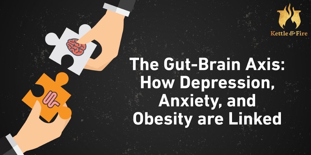 The Gut-Brian Axis article cover