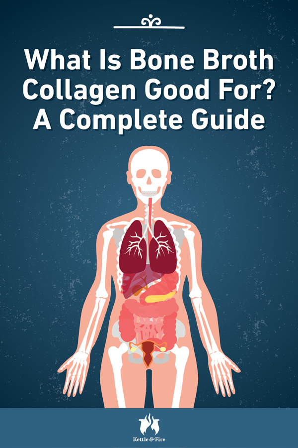 What Is Bone Broth Collagen Good For? A Complete Guide The Kettle