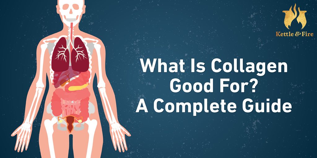 What Is Collagen Good For A Complete Guide What Is Collagen Good For A Complete Guide