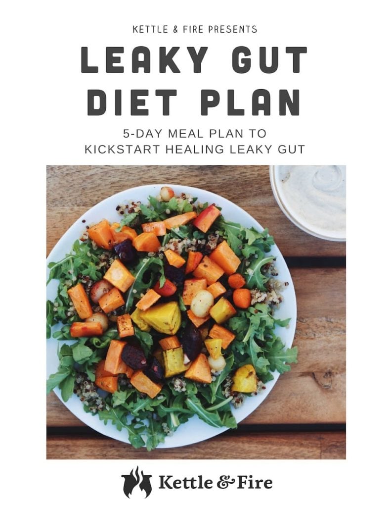 LEAKY GUT DIET PLAN BOOK COVER-kettle-and-fire