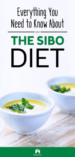 Everything You Need to Know About the SIBO Diet #healthyeating #guthealth #healthyfood #LowFODMAP