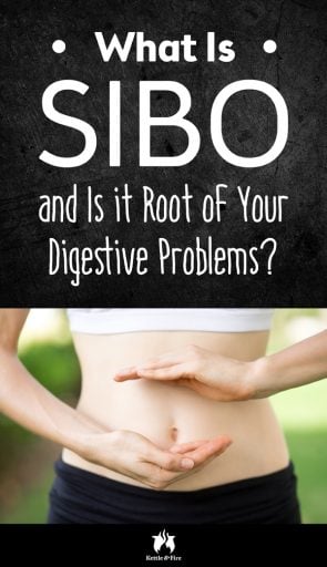 What Is SIBO and Is it Root of Your Digestive Problems pin