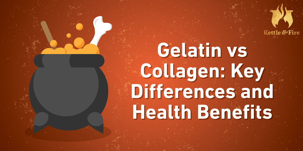 knox gelatin vs collagen