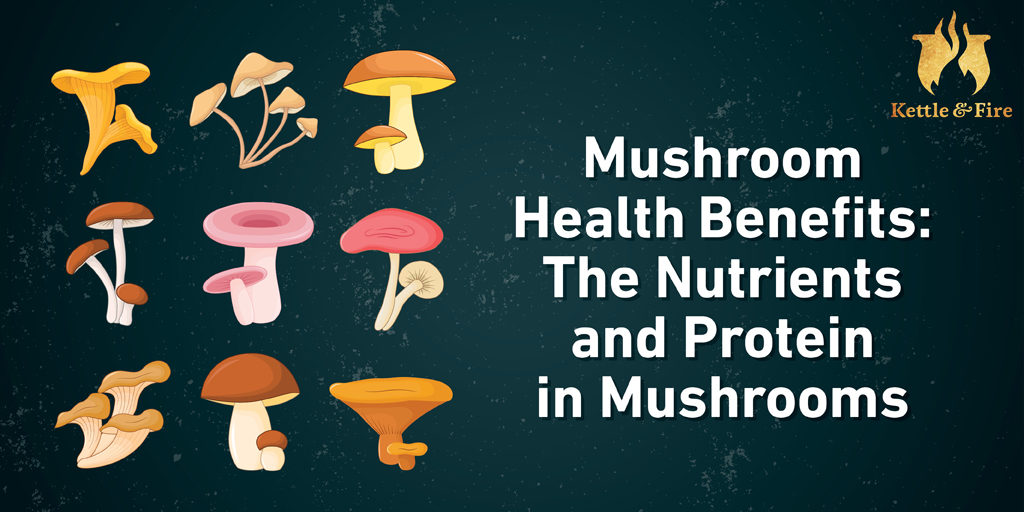 Mushroom-Health-Benefits-The-Nutrients-and-Protein-in-Mushrooms-cover.jpg Mushroom Health Benefits: The Nutrients and Protein in Mushrooms