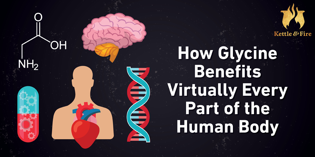 How Glycine Benefits Virtually Every Part of the Human Body